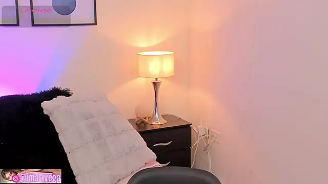 Snapshot of ariivega chatting on September 2025 10:54:01 PM ariivega online show from September 2025 10:54:01 PM