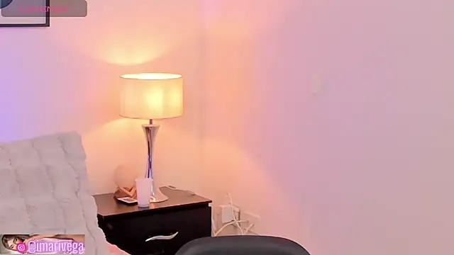 Snapshot of ariivega chatting on September 2025 10:04:02 AM ariivega online show from September 2025 10:04:02 AM