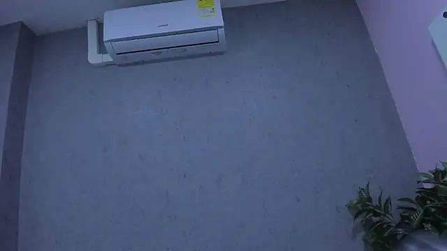 Tiffany mendez online show from December 2025 12:03:02 PM