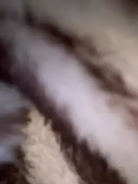 Snapshot of simmiiii chatting on January 2025 07:21:02 PM simmiiii online show from January 2025 07:21:02 PM