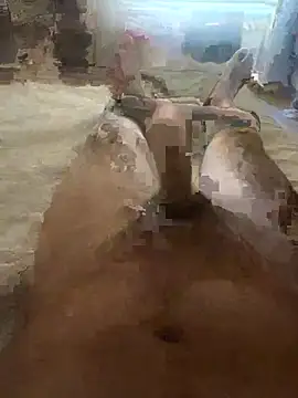 zilzop online show from July 2026 11:24:01 AM
