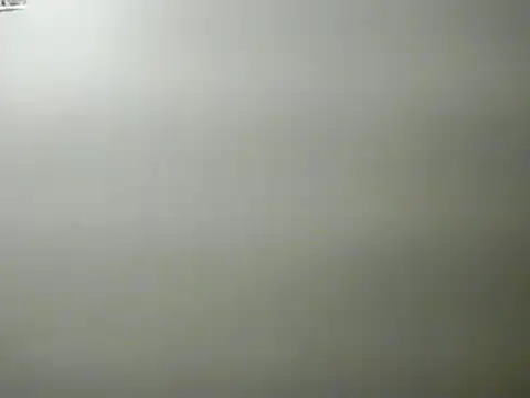 lilbishmiss online show from January 2025 01:58:02 AM