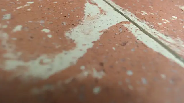 Snapshot of isabella_jazz chatting on September 2025 03:24:01 PM isabella jazz online show from September 2025 03:24:01 PM