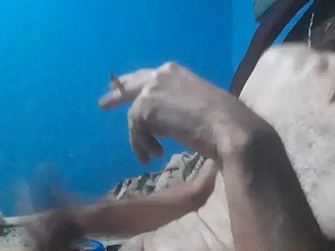 hugosafado333 online show from October 2025 06:35:02 AM