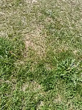 Gururonny07 online show from March 2025 07:57:02 AM