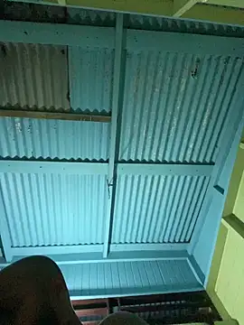 islandvybee55 online show from January 2026 07:54:01 AM