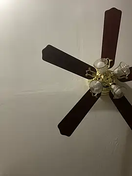 Snapshot of islandvybee55 chatting on April 2026 03:14:01 PM islandvybee55 online show from April 2026 03:14:01 PM