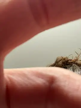 Snapshot of laninasub chatting on April 2026 03:30:02 AM laninasub online show from April 2026 03:30:02 AM