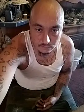 wilsons12 online show from November 2025 05:34:01 PM