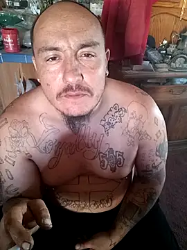 wilsons12 online show from December 2025 07:41:02 PM