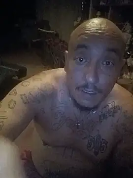 wilsons12 online show from June 2026 06:41:02 AM
