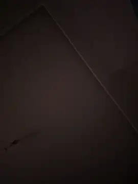 Snapshot of eddy355 chatting on October 2025 09:31:02 PM eddy355 online show from October 2025 09:31:02 PM