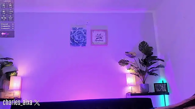 Snapshot of Aixaa_charles chatting on February 2025 06:09:02 PM Aixaa charles online show from February 2025 06:09:02 PM