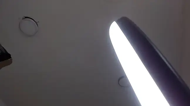 Snapshot of MurdockH chatting on February 2025 09:02:01 AM MurdockH online show from February 2025 09:02:01 AM