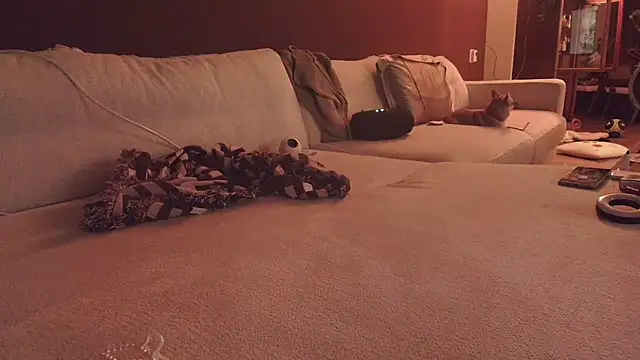 Nina24 online show from October 2025 06:42:02 PM