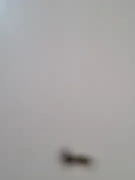 BriannaVincent online show from October 2025 04:26:01 AM