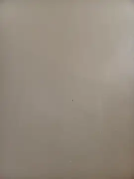 BriannaVincent online show from November 2025 04:22:02 AM