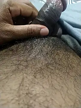 black panth99 online show from June 2026 02:04:01 PM