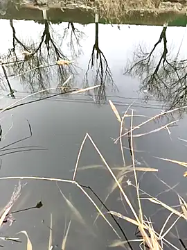 huzi518 online show from February 2025 06:50:02 AM