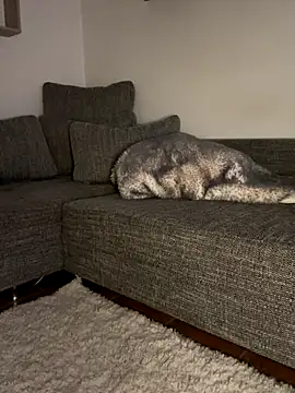 Snapshot of godspot_ chatting on October 2025 08:20:01 PM godspot  online show from October 2025 08:20:01 PM