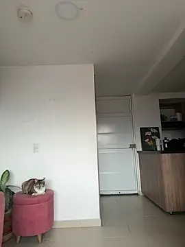 Snapshot of DakotaShelby chatting on April 2026 10:22:02 PM DakotaShelby online show from April 2026 10:22:02 PM