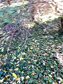 Snapshot of Lucascacaca chatting on December 2024 02:04:01 PM Lucascacaca online show from December 2024 02:04:01 PM