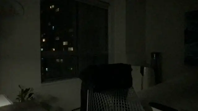 Gingerbushguy online show from December 2024 09:39:01 AM