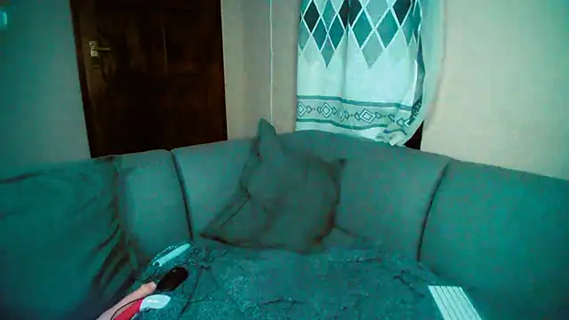 Snapshot of GoldenPussyXOXO chatting on December 2024 11:40:01 PM GoldenPussyXOXO online show from December 2024 11:40:01 PM