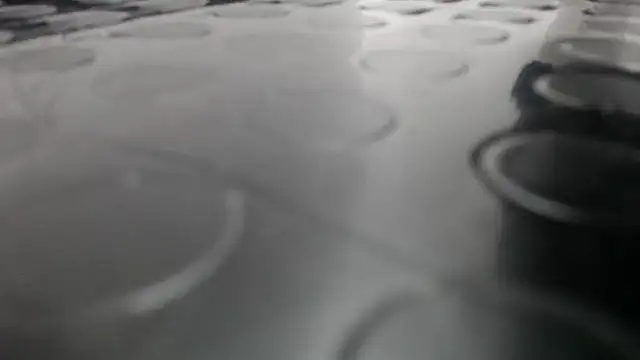 Kitten Hot  online show from November 2025 11:25:01 PM