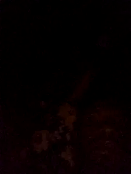 Snapshot of Hilkanna_ chatting on March 2026 09:29:02 PM Hilkanna online show from March 2026 09:29:02 PM