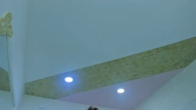 Snapshot of PandoraRider chatting on March 2026 12:42:01 PM PandoraRider online show from March 2026 12:42:01 PM