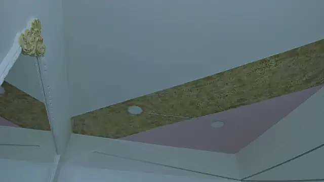 Snapshot of PandoraRider chatting on March 2026 12:54:01 PM PandoraRider online show from March 2026 12:54:01 PM