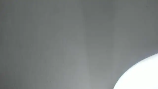 Snapshot of PandoraRider chatting on April 2026 01:34:02 PM PandoraRider online show from April 2026 01:34:02 PM