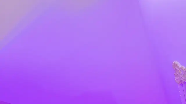 Snapshot of PandoraRider chatting on April 2026 02:48:01 PM PandoraRider online show from April 2026 02:48:01 PM