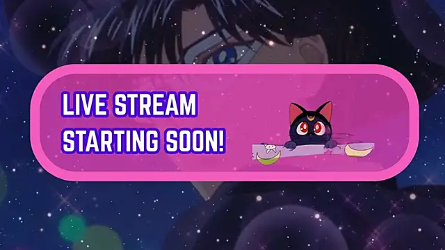 Snapshot of tuxedomasc_95 chatting on January 2026 02:17:01 AM tuxedomasc 95 online show from January 2026 02:17:01 AM