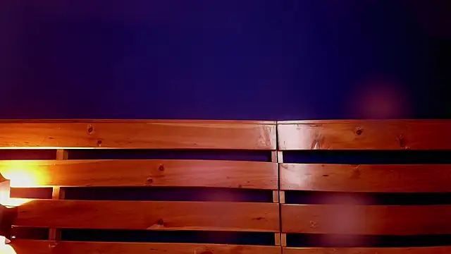 Snapshot of stefania_lerner chatting on February 2025 12:58:01 PM stefania lerner online show from February 2025 12:58:01 PM