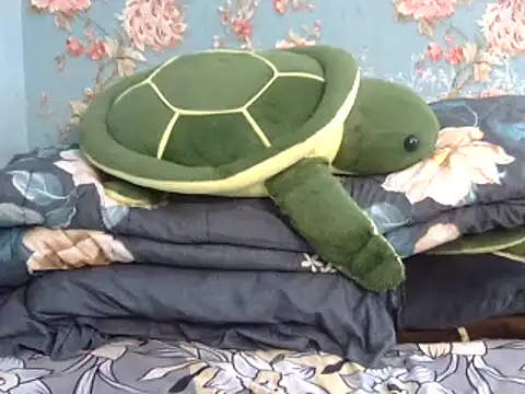 Snapshot of Tiny_lusty chatting on March 2025 06:41:02 PM Tiny lusty online show from March 2025 06:41:02 PM