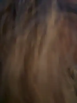 Lombada online show from November 2025 04:17:02 PM