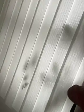 Snapshot of derFickerali chatting on January 2025 01:13:01 PM derFickerali online show from January 2025 01:13:01 PM