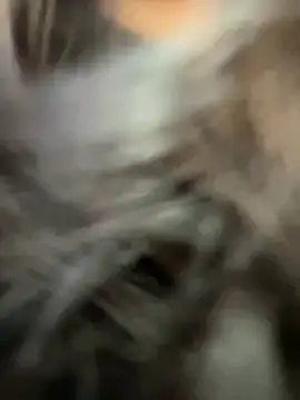 Snapshot of Chloe__Moon chatting on January 2025 11:27:02 AM Chloe Moon online show from January 2025 11:27:02 AM