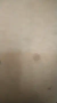 rohitlov150 online show from February 2025 11:50:01 AM