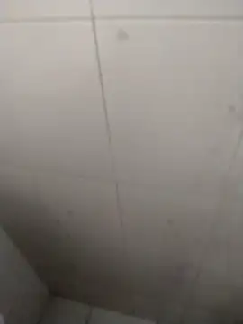 rohitlov150 online show from September 2025 02:52:01 PM