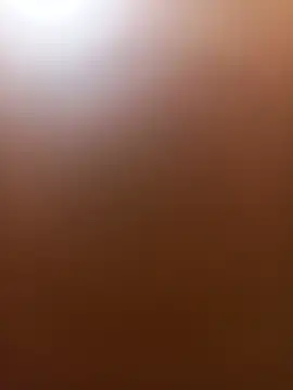 Snapshot of wildfox566 chatting on June 2026 03:52:02 AM wildfox566 online show from June 2026 03:52:02 AM