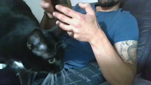 Snapshot of Kevoon991 chatting on November 2025 08:47:01 AM Kevoon991 online show from November 2025 08:47:01 AM