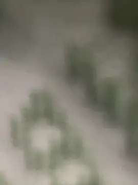 Estefanii- online show from December 2024 01:32:02 PM