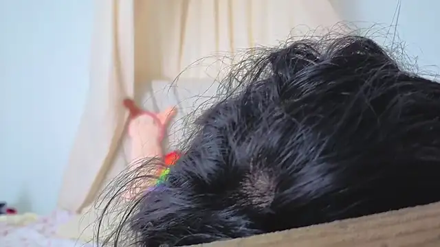 Snapshot of Katiaflex chatting on March 2026 03:41:02 AM Katiaflex online show from March 2026 03:41:02 AM