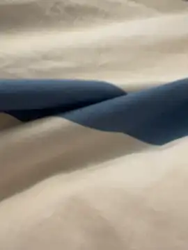 anyAna21 online show from December 2024 02:47:02 PM