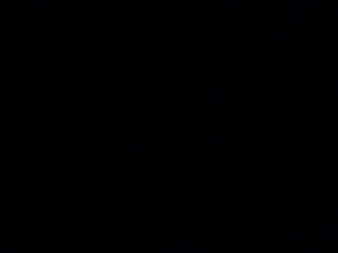 Snapshot of workhard87 chatting on January 2025 05:53:01 PM workhard87 online show from January 2025 05:53:01 PM