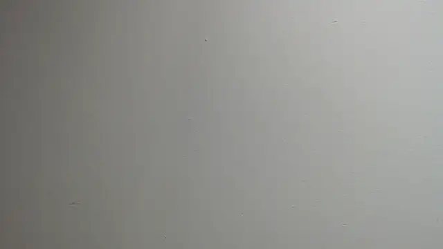 sussy leon online show from March 2025 12:35:02 PM