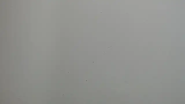 sussy leon online show from March 2025 12:25:02 PM